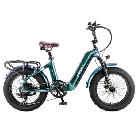 FAFREES F20 Master E-bike