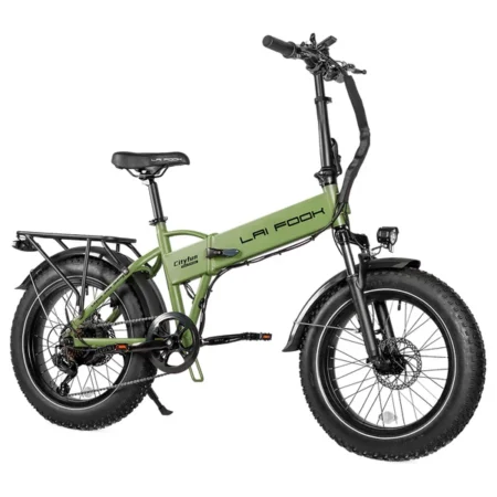 LAIFOOK Cityfun Electric Bike, 250W Brushless Motor, 48V 14Ah Battery, 20 x 4.0 Inch Fat Tires, 25km/h Max Speed, 70km Range, Hydraulic Front Suspension, Mechanical Disc Brake, Shimano 7 Speed, LCD Display - Green