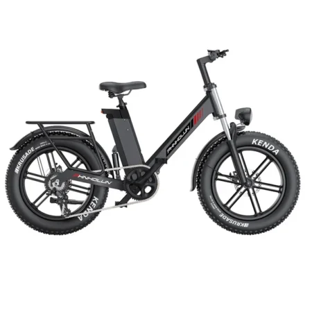 PHNHOLUN C6 Pro Electric Bike 20*4.0 inch Fat Tires 1000W Motor 60km/h Max Speed 48V 17Ah Detachable Battery 80km Range