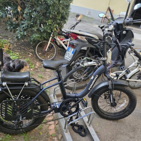 ex demo touroll s2 fat bike pieghevole